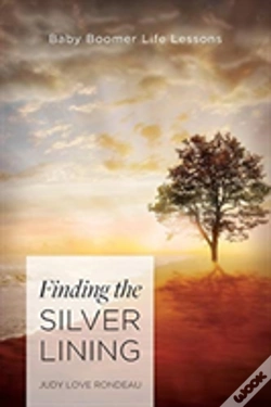 Capa do artigo Finding The Silver Lining