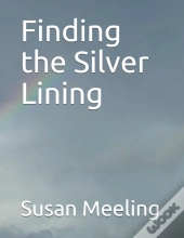 Finding The Silver Lining