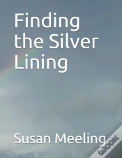 Capa do artigo Finding The Silver Lining