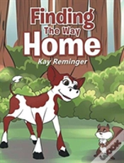 Capa do artigo Finding The Way Home