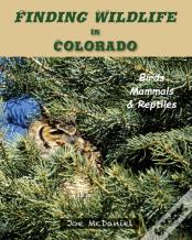 Finding Wildlife In Colorado