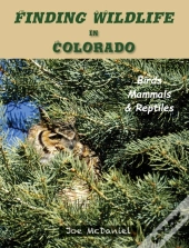 Finding Wildlife In Colorado