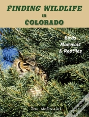 Capa do artigo Finding Wildlife In Colorado