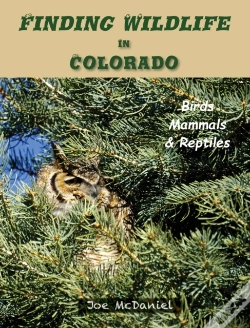 Capa do artigo Finding Wildlife In Colorado