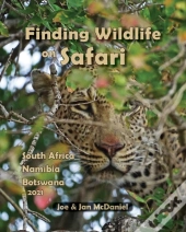 Finding Wildlife On Safari