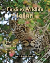 Capa do artigo Finding Wildlife On Safari