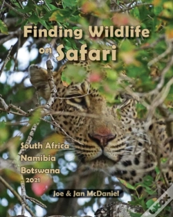 Capa do artigo Finding Wildlife On Safari