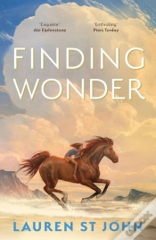 Capa do artigo Finding Wonder