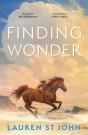 Finding Wonder - Preview