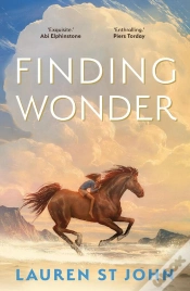 Capa do artigo Finding Wonder