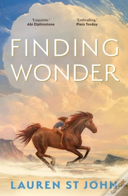 Capa do artigo Finding Wonder