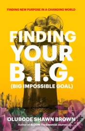 Capa do artigo Finding Your B.I.G.