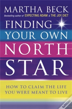 Capa do artigo Finding Your Own North Star