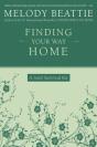 Finding Your Way Home - Preview
