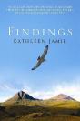 Findings - Preview