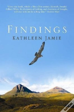 Capa do artigo Findings