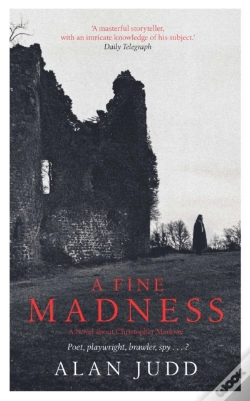 Capa do artigo Fine Madness