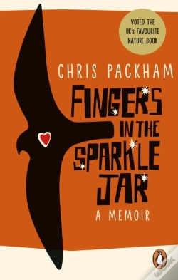 Capa do artigo Fingers In The Sparkle Jar