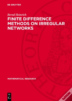 Capa do artigo Finite Difference Methods On Irregular Networks