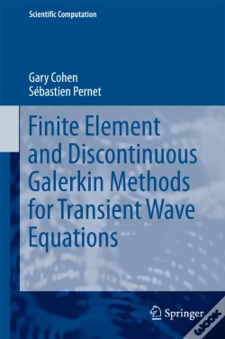 Capa do artigo Finite Element And Discontinuous Galerkin Methods For Transient Wave Equations