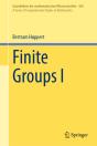 Finite Groups I - Preview