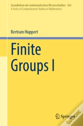 Finite Groups I