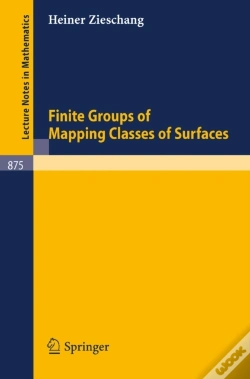 Capa do artigo Finite Groups Of Mapping Classes Of Surfaces