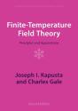 Finite-Temperature Field Theory - Preview