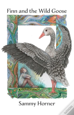 Capa do artigo Finn And The Wild Goose