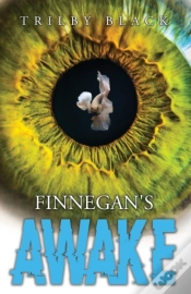 Capa do artigo Finnegan
