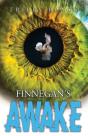 Finnegan'S Awake - Preview