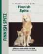 Finnish Spitz - Preview
