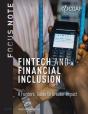 Fintech And Financial Inclusion - Preview