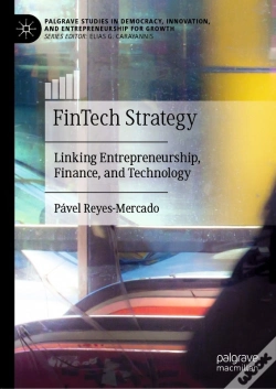 Capa do artigo Fintech Strategy