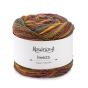 Fio De Tricot Rosarios 4 Invicta 150G Outono 13 - Preview