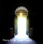 Fiona Crisp - Preview