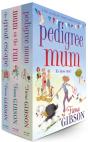Fiona Gibson 3 Book Bundle - Preview