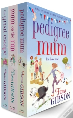 Capa do artigo Fiona Gibson 3 Book Bundle