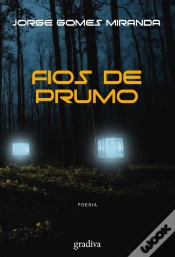 Capa do artigo Fios de Prumo