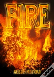 Capa do artigo Fire