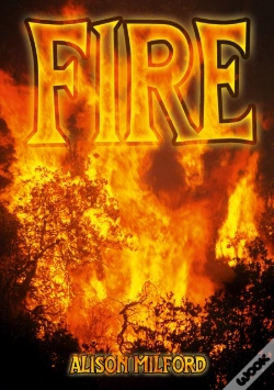 Capa do artigo Fire