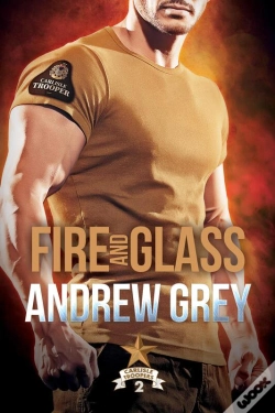 Capa do artigo Fire And Glass