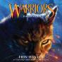 Fire And Ice - Preview