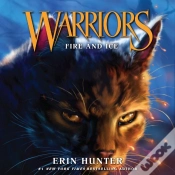 Capa do artigo Fire And Ice