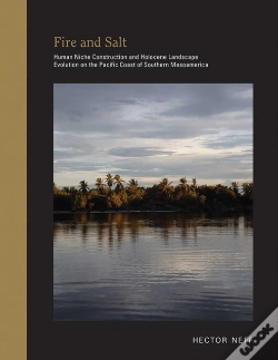 Capa do artigo Fire And Salt