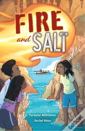 Capa do artigo Fire And Salt