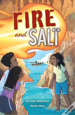 Capa do artigo Fire And Salt