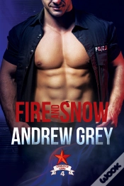 Capa do artigo Fire And Snow
