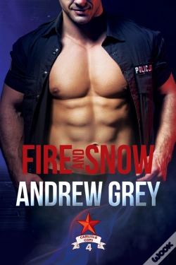 Capa do artigo Fire And Snow