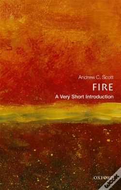 Capa do artigo Fire